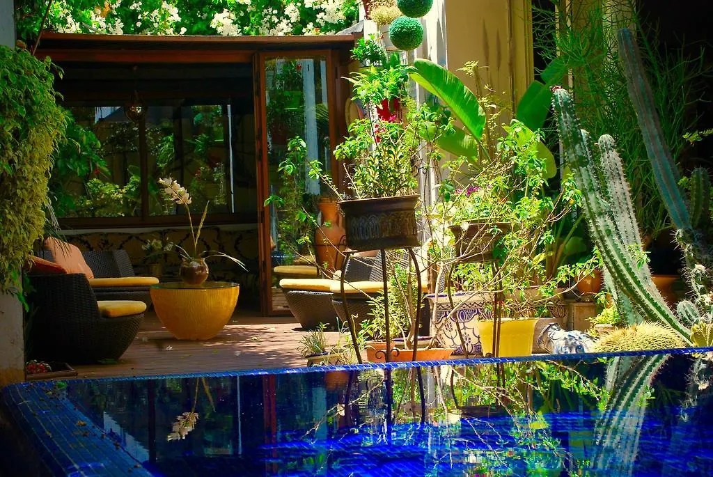 Dar Diafa Bed & Breakfast Casablanca
